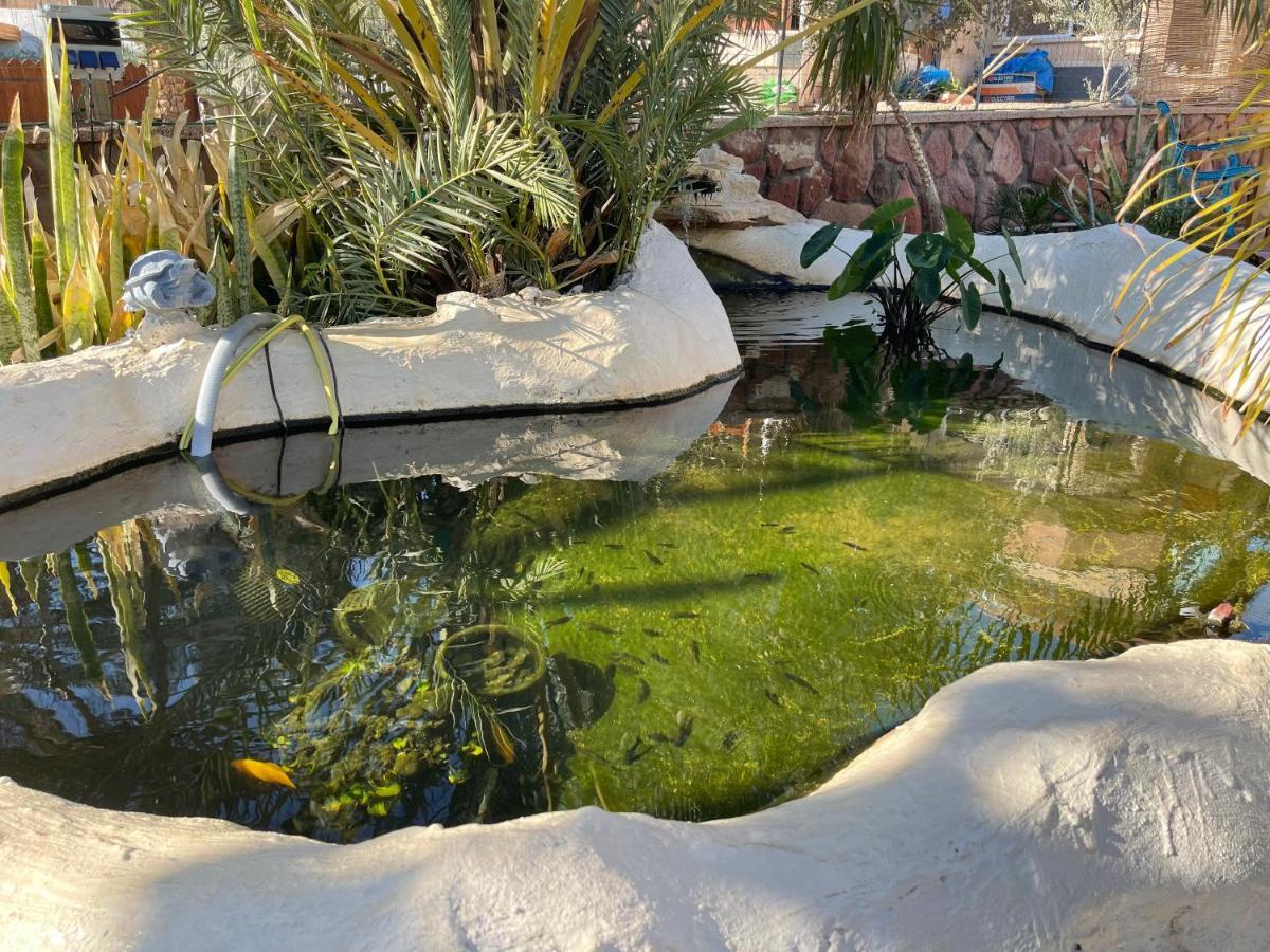 Apartment Oasis Classic Eilat